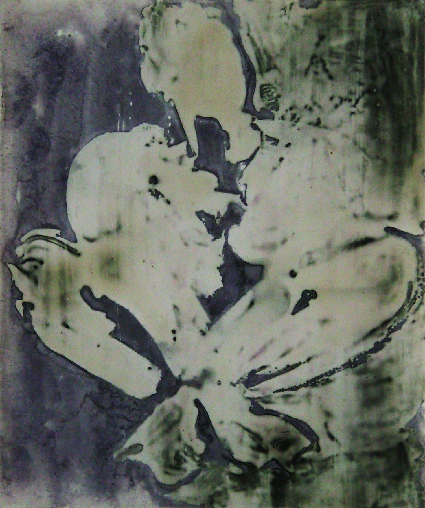 cristina-cocco-arte-in-embrione-2003