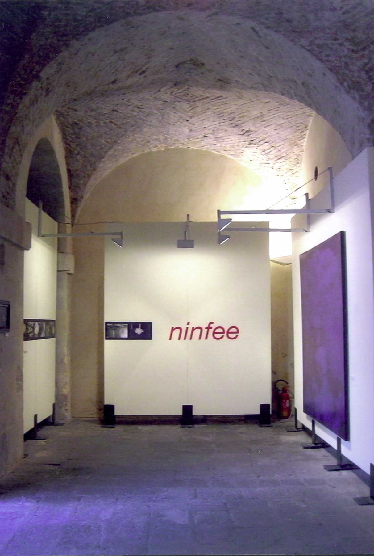 cristina-cocco-installazione-arte-ninfee-padova-2006-palazzo-moroni-scuderie