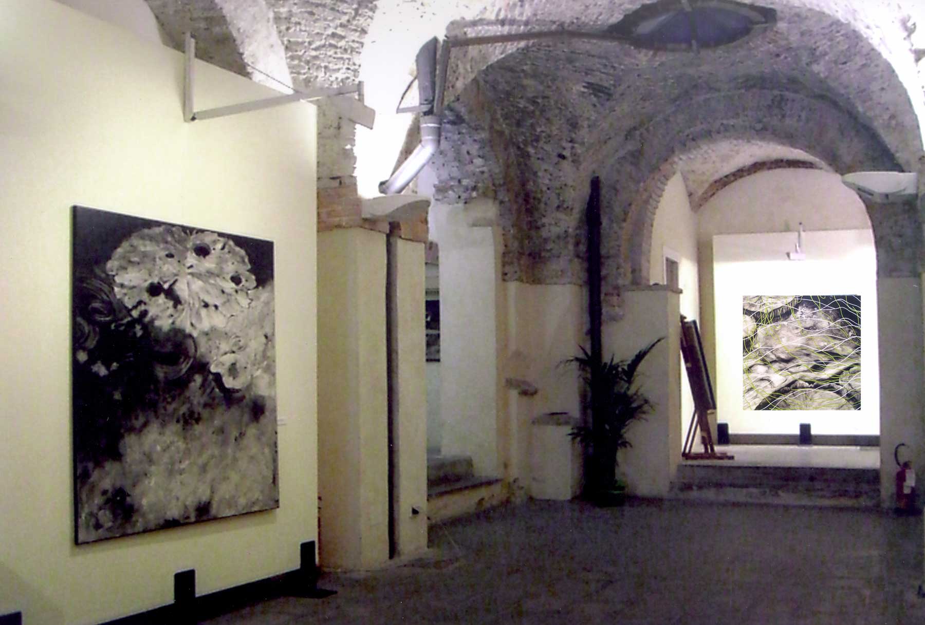 cristina-cocco-installazione-arte-ninfee-2006-scuderie-di-palazzo-moroni-padova
