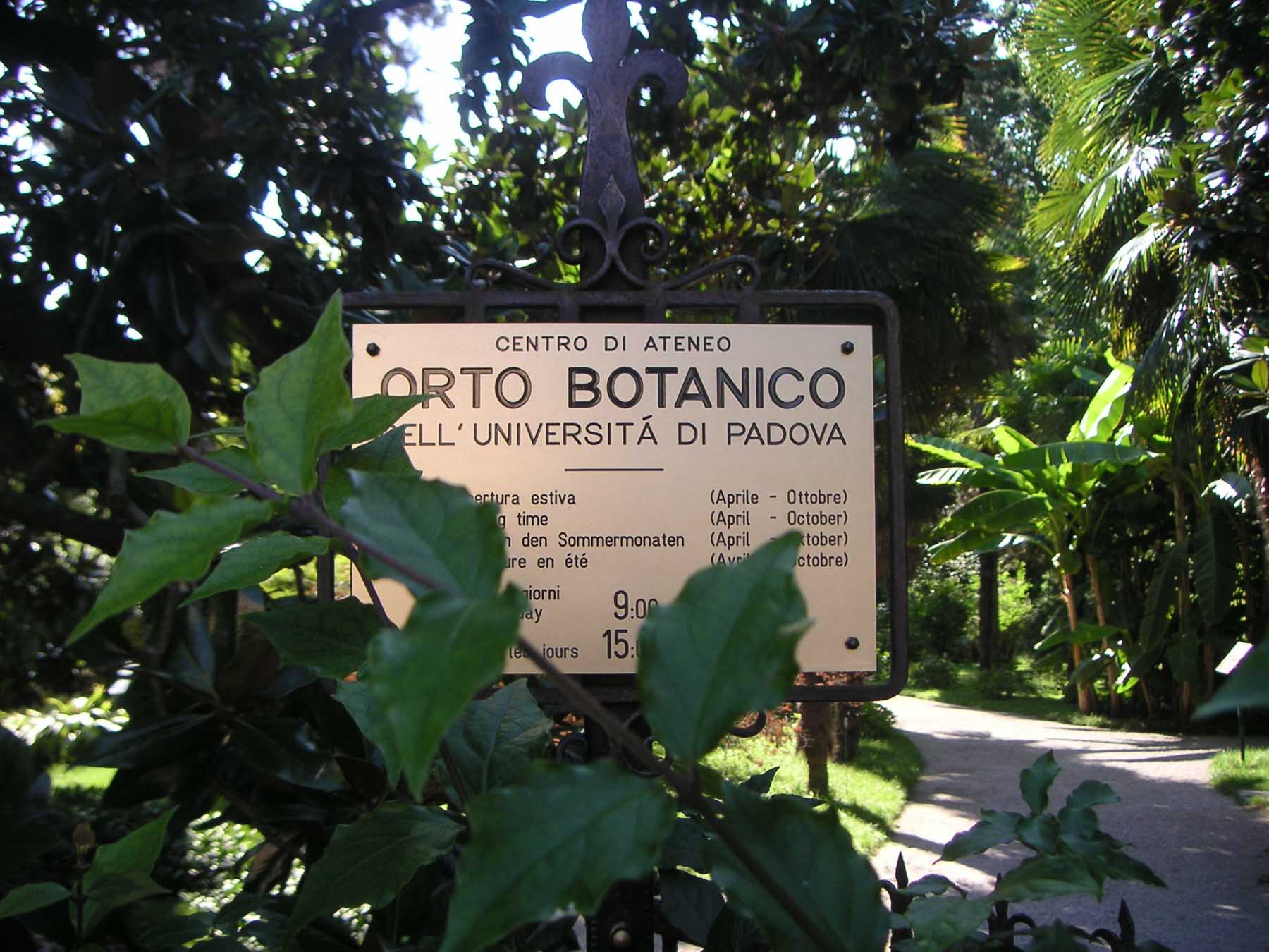 Orto botanico, Padova